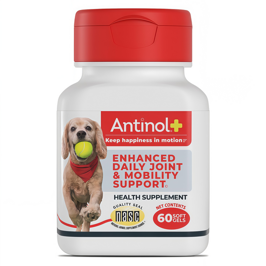 Antinol Plus Mobility Hip & Joint Supplement for Dogs
