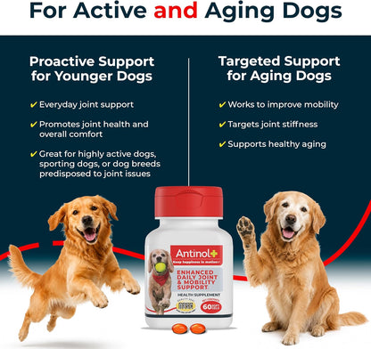 Antinol Plus Mobility Hip & Joint Supplement for Dogs