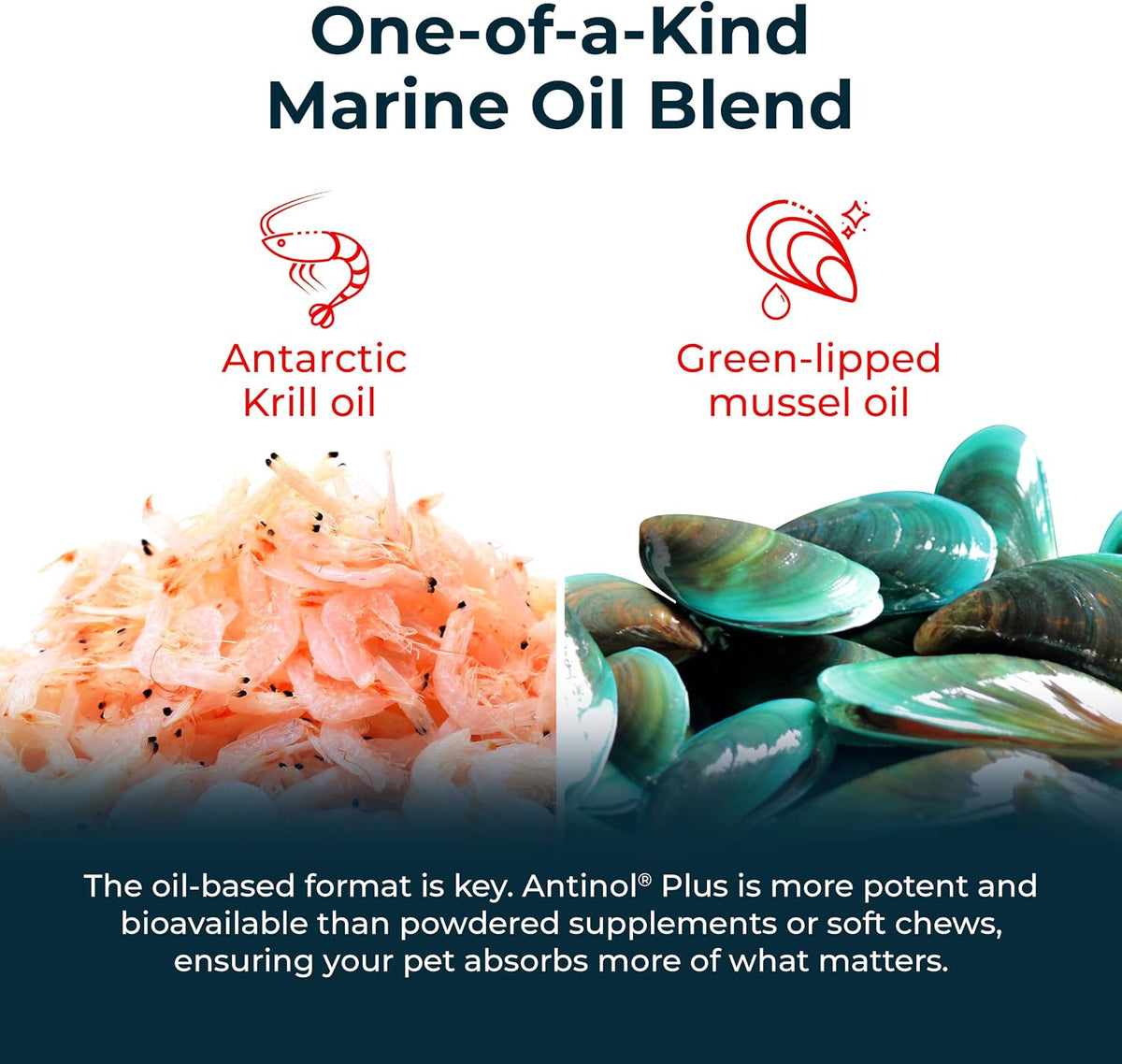 Antinol Plus Mobility Hip & Joint Supplement for Dogs