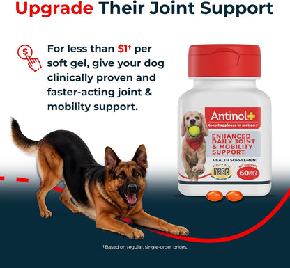 Antinol Plus Mobility Hip & Joint Supplement for Dogs